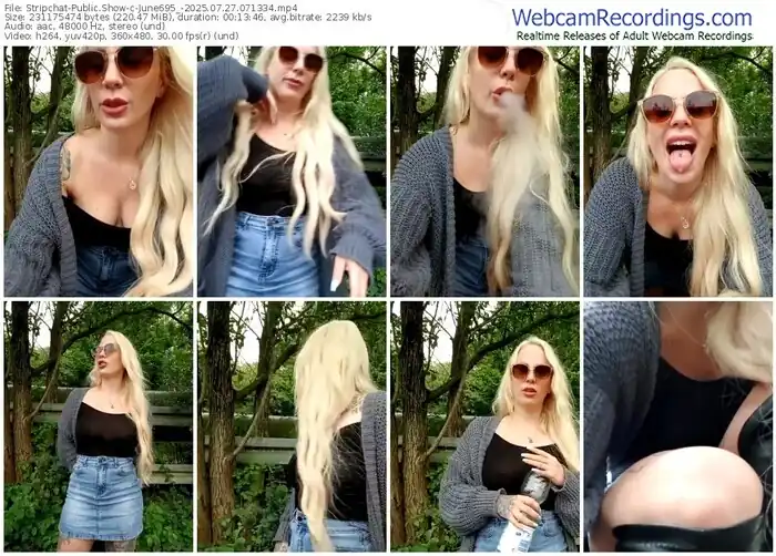 2025/07/27/stripchat-june695_-07-13-34