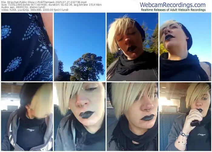 2025/07/27/stripchat-pinkthehawk-03-27-38
