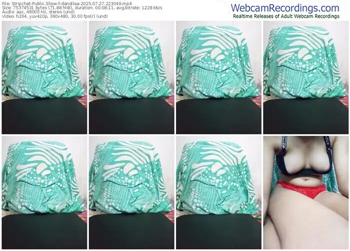 2025/07/27/stripchat-dandilaa-22-30-49