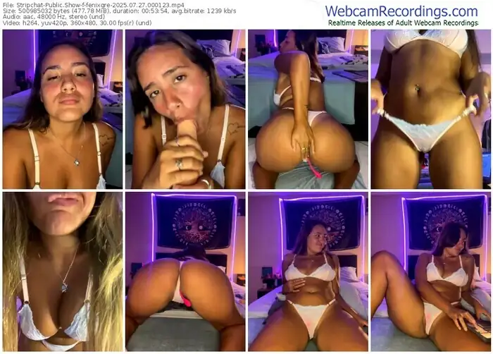 2025/07/27/stripchat-fenixgre-00-01-23