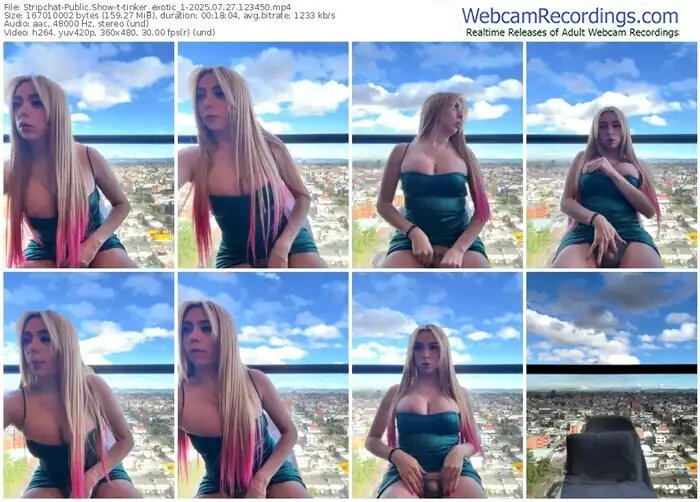 2025/07/27/stripchat-tinker_exotic_1-12-34-50