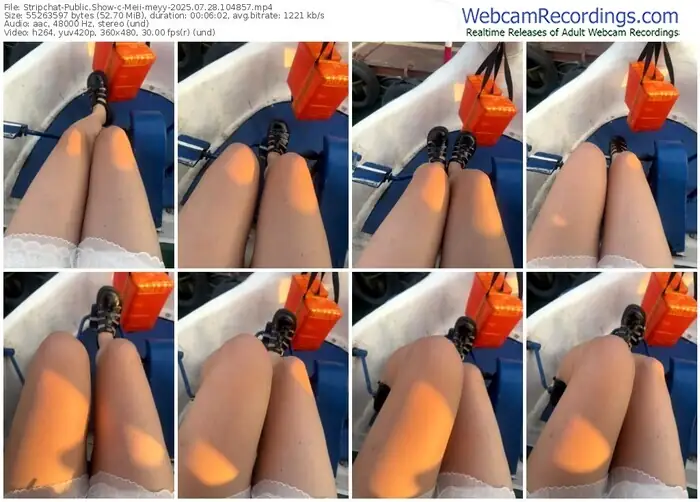 2025/07/28/stripchat-meii-meyy-10-48-57