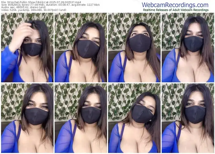 2025/07/28/stripchat-bold-cat-00-05-37