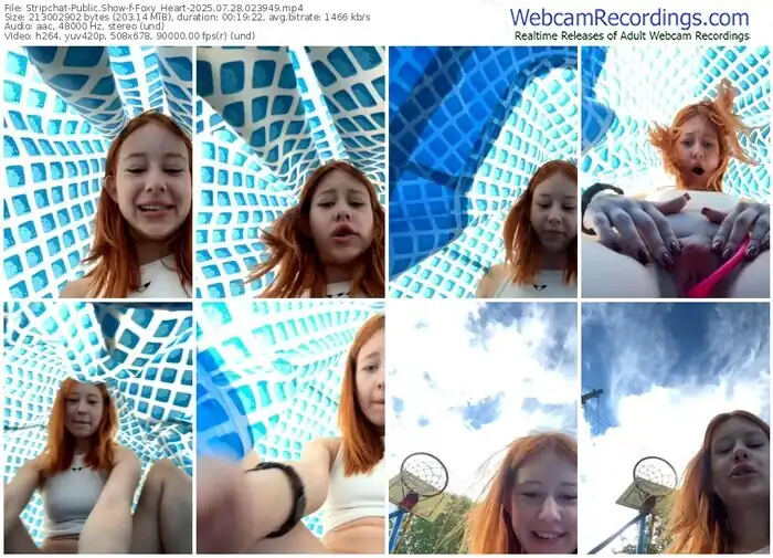 2025/07/28/stripchat-foxy_heart-02-39-49