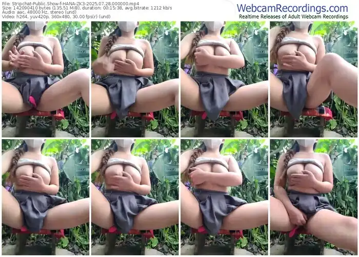 2025/07/28/stripchat-hana-zk3-00-00-00