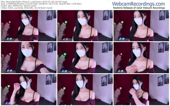 2025/07/28/stripchat-_lostcherry-13-14-43