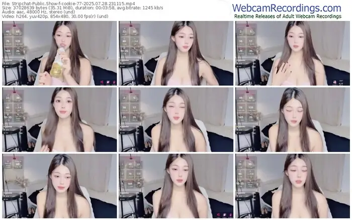 2025/07/28/stripchat-cookie-77-23-11-15