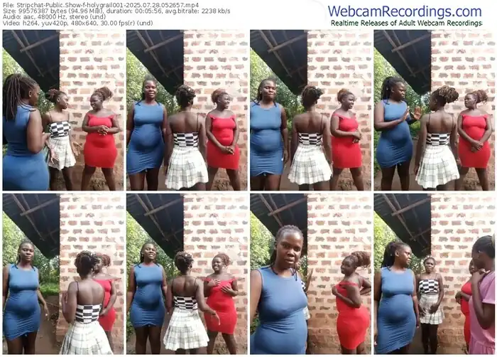 2025/07/28/stripchat-holygrail001-05-26-57