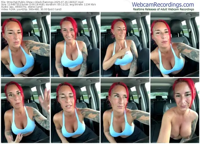 2025/07/29/stripchat-black-flamingo-18-09-27