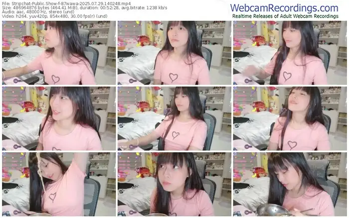 2025/07/29/stripchat-87wawa-14-02-48