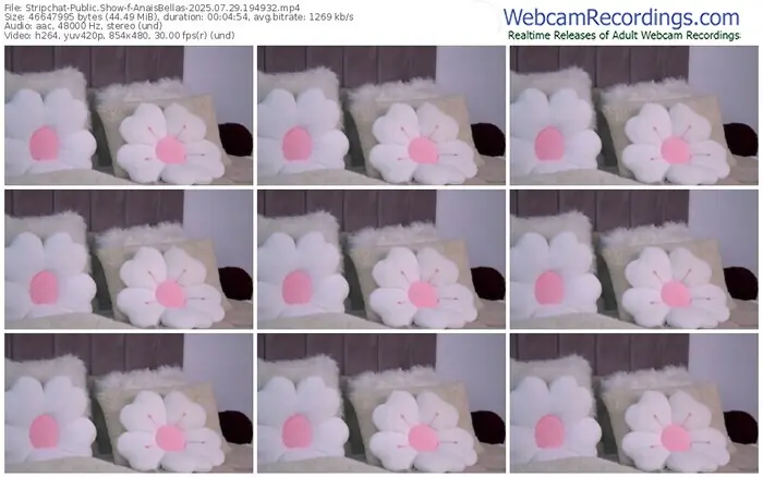 2025/07/29/stripchat-anaisbellas-19-49-32
