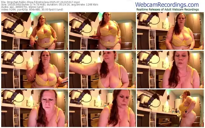 2025/07/29/stripchat-endrocleia-01-53-17