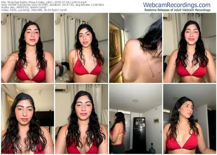 2025/07/29/stripchat-gaby_zahir_-11-04-10
