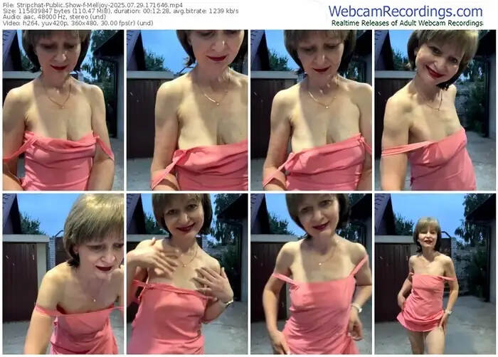 2025/07/29/stripchat-melljoy-17-16-46