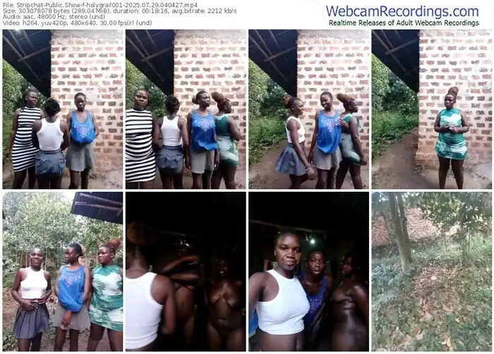 2025/07/29/stripchat-holygrail001-04-04-27