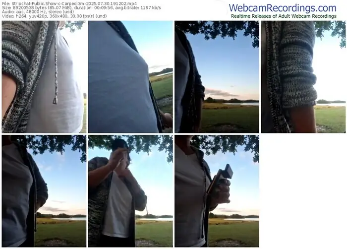 2025/07/30/stripchat-carpedi3m-19-12-02