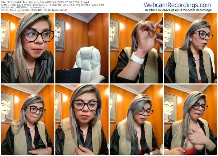 2025/07/30/stripchat-_cata-office1-20-59-11