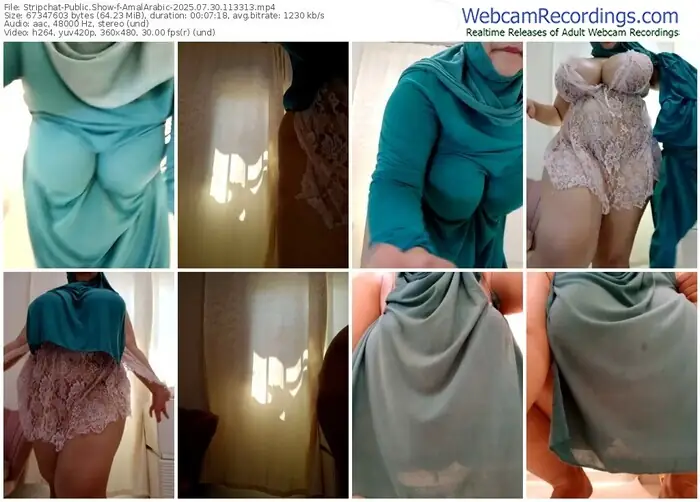 2025/07/30/stripchat-amalarabic-11-33-13