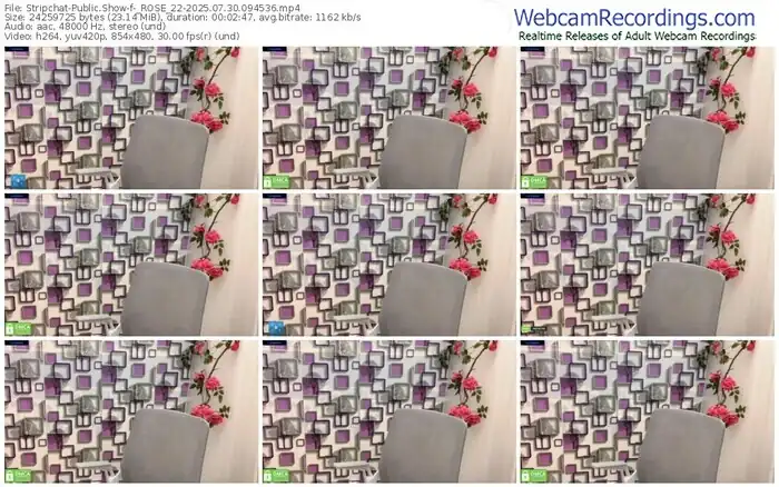 2025/07/30/stripchat-_rose_22-09-45-36