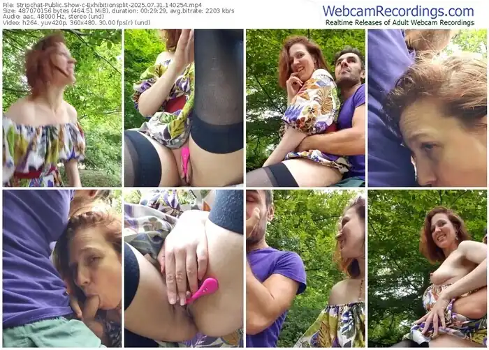 2025/07/31/stripchat-exhibitionsplit-14-02-54