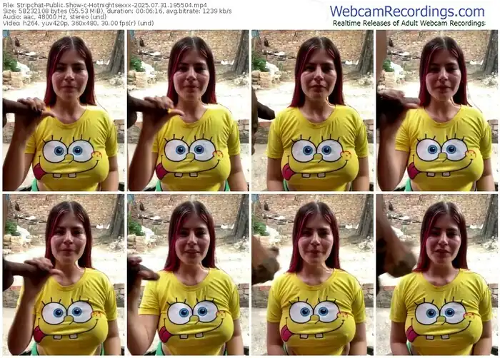 2025/07/31/stripchat-hotnightsexxx-19-55-04