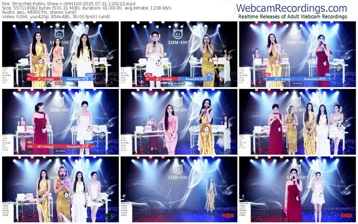 2025/07/31/stripchat-xmh100-12-02-32