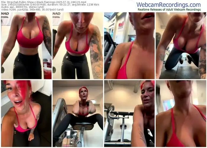 2025/07/31/stripchat-black-flamingo-18-41-15
