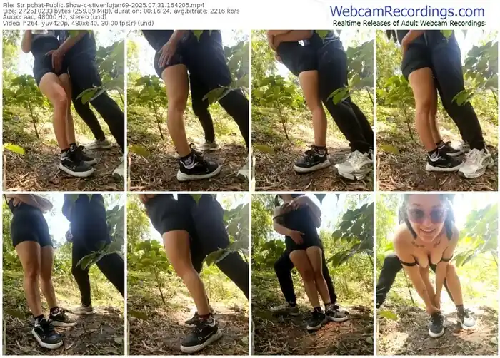 2025/07/31/stripchat-stivenlujan69-16-42-05