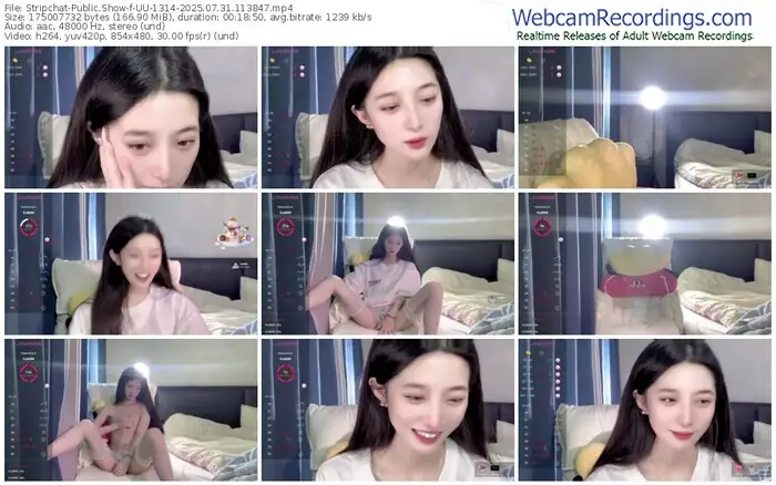 2025/07/31/stripchat-uu-1314-11-38-47