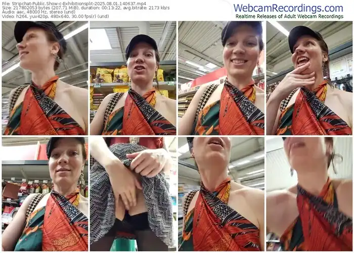 2025/08/01/stripchat-exhibitionsplit-14-06-37