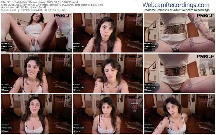 2025/08/01/stripchat-pnkgf-08-04-51