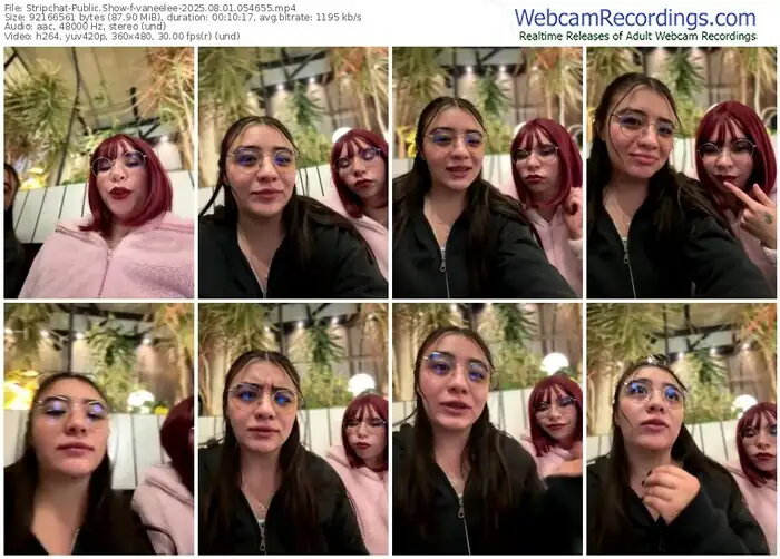 2025/08/01/stripchat-vaneelee-05-46-55