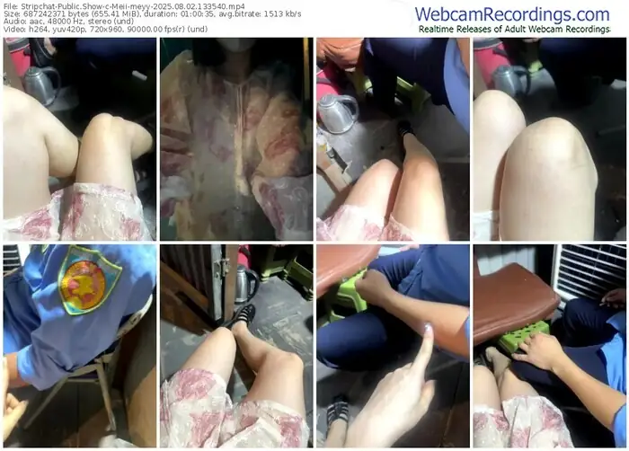 2025/08/02/stripchat-meii-meyy-13-35-40