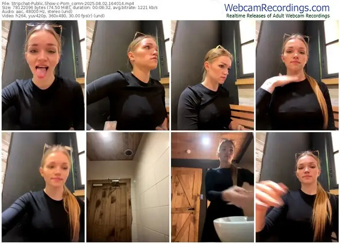 2025/08/02/stripchat-porn_cornn-16-40-14