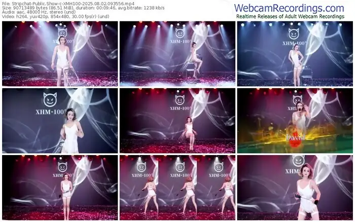 2025/08/02/stripchat-xmh100-09-35-56