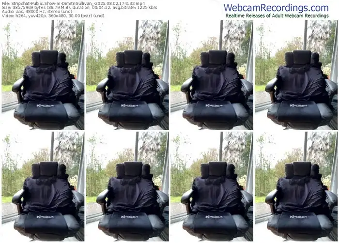 2025/08/02/stripchat-dimitrisullivan_-17-41-32
