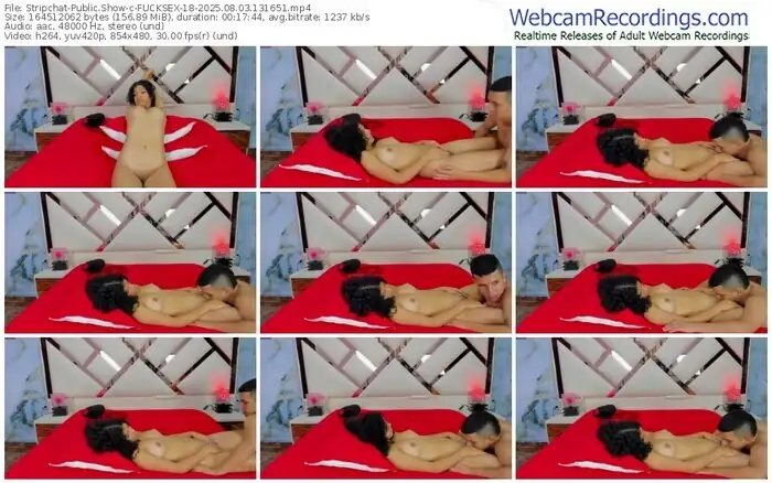 2025/08/03/stripchat-fucksex-18-13-16-51