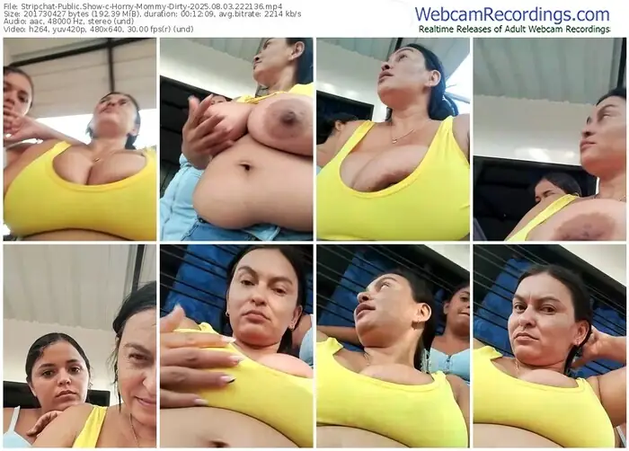 2025/08/03/stripchat-horny-mommy-dirty-22-21-36