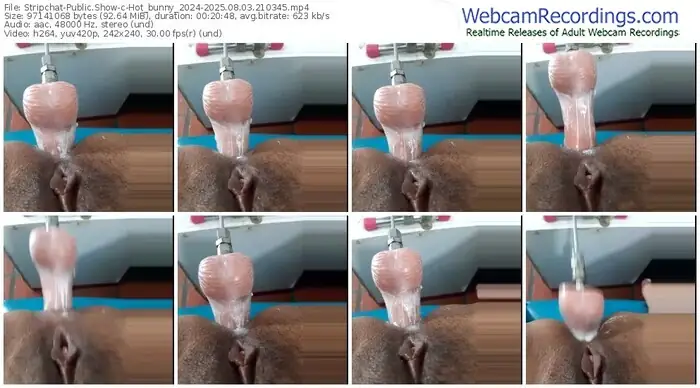 2025/08/03/stripchat-hot_bunny_2024-21-03-45