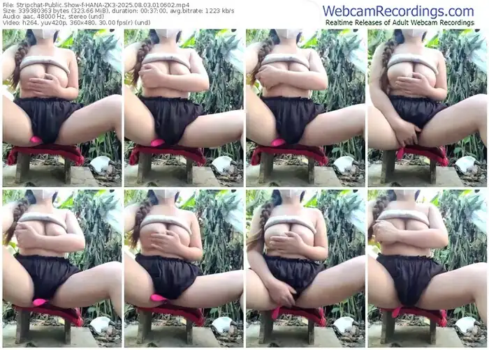 2025/08/03/stripchat-hana-zk3-01-06-02