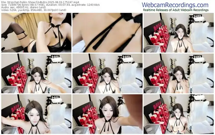 2025/08/03/stripchat-bdbdzs-17-52-47