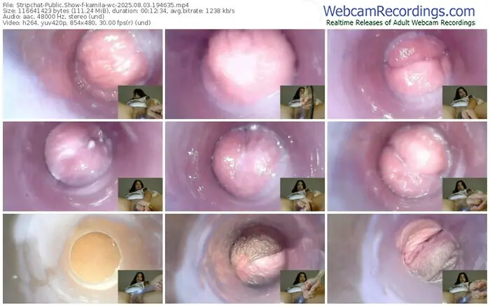 2025/08/03/stripchat-kamila-wc-19-46-35