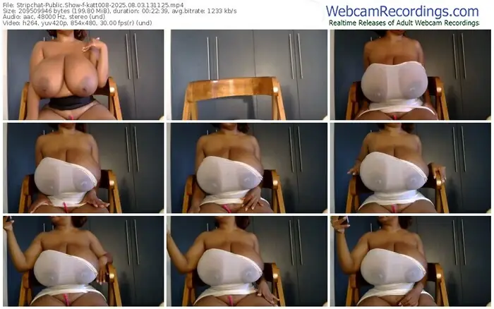 2025/08/03/stripchat-katt008-13-11-25