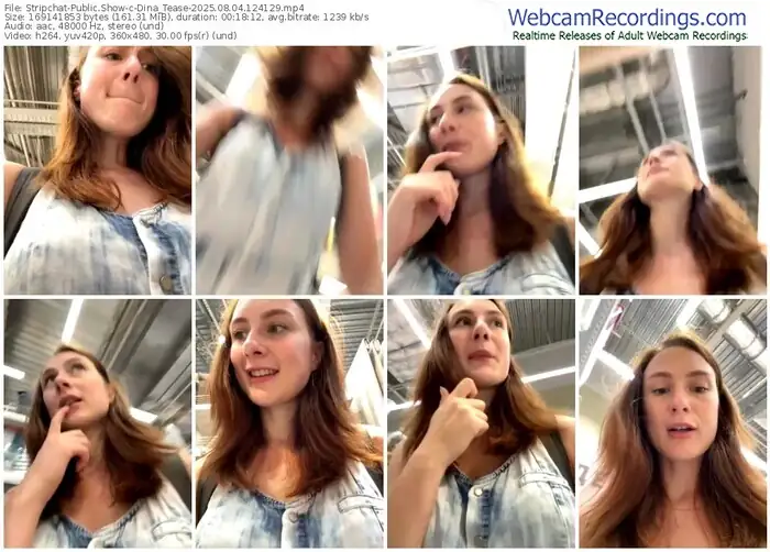 2025/08/04/stripchat-dina_tease-12-41-29