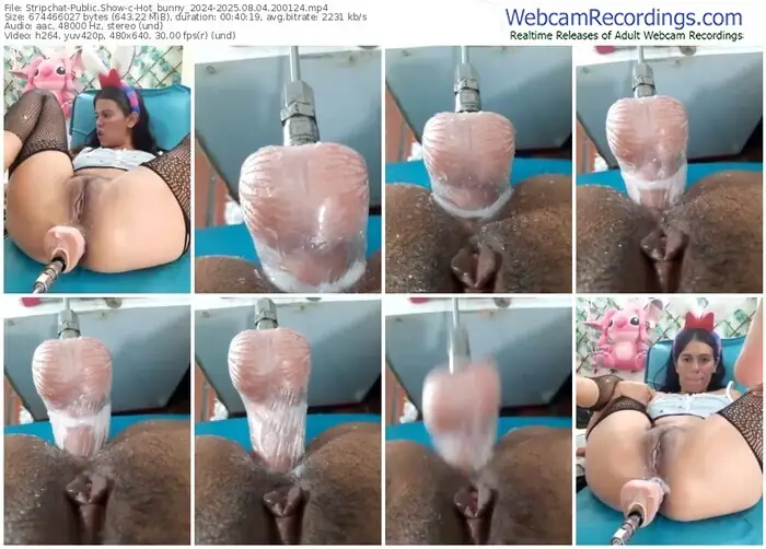 2025/08/04/stripchat-hot_bunny_2024-20-01-24