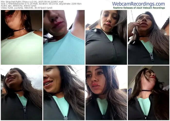 2025/08/04/stripchat-liz-06_-22-39-57