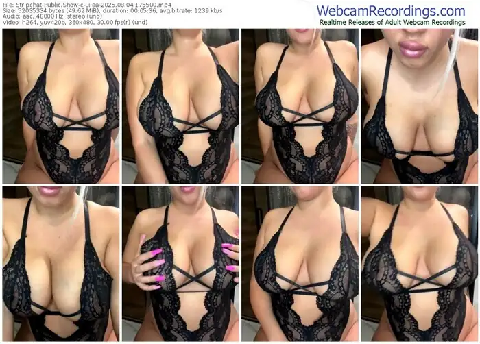 2025/08/04/stripchat-liiaa-17-55-00