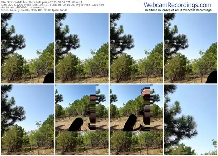 2025/08/04/stripchat--pupsiki--07-11-06