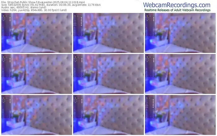 2025/08/04/stripchat-evaleester-11-10-18