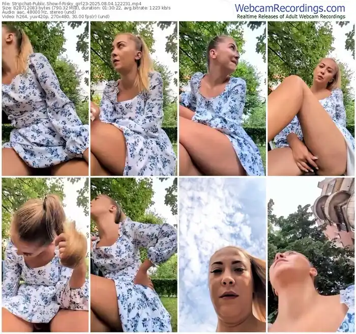 2025/08/04/stripchat-risky_girl23-12-22-31